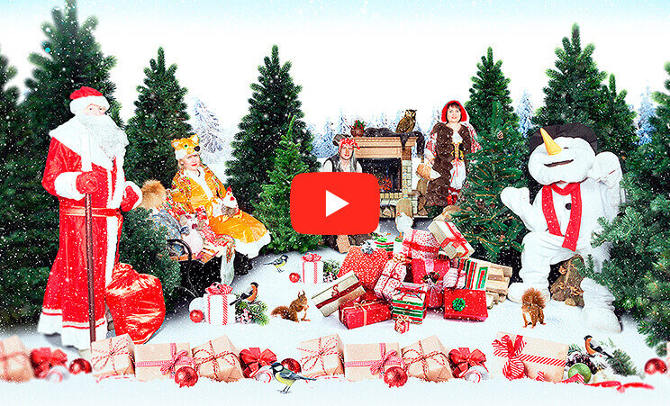 ����� ��� 2017