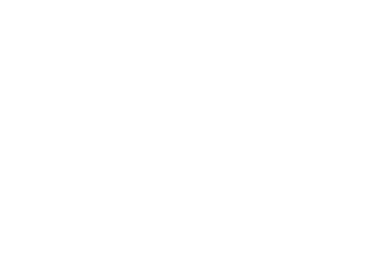 ������ &ndash;3 100 �� ���