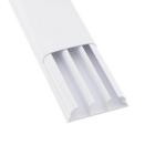 ������������� �������